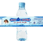 Custom Pet PVC Shrinkable Film Sleeve Printing Label Heat Shrink Wrap for Water Beverage Plastic Bottle